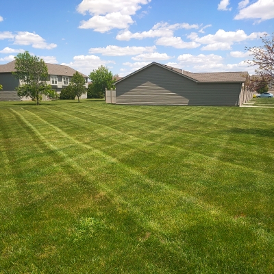 dayton ohio lawn care service