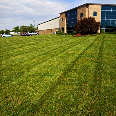 commercial lawn care